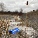 litter beer box