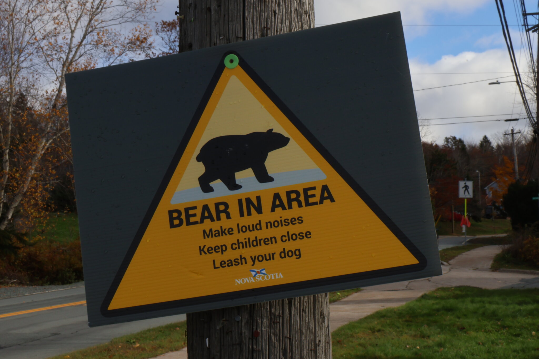 Number Of Bear Sightings In Fall River Increases Dnrr The Laker 5913