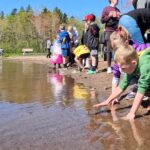PHOTOS/VIDEO: Hundreds help release trout into First Lake on Sackville Waters Awareness Day