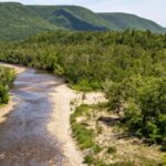 Groups coming together to send message that N.S. needs to do more to protect natural legacy