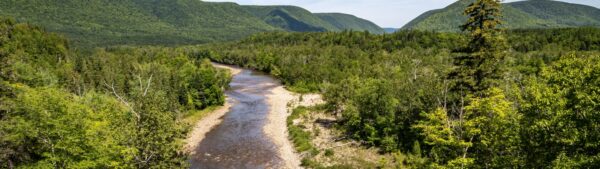 River by Jimmie Pederson green