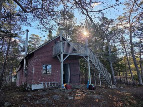 cabin no 8