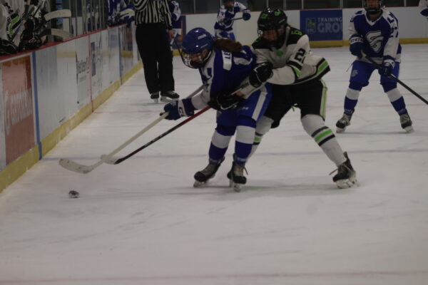 LeBlanc solid in goal, Poirier scores twice as Surge surge to MMGHL victory