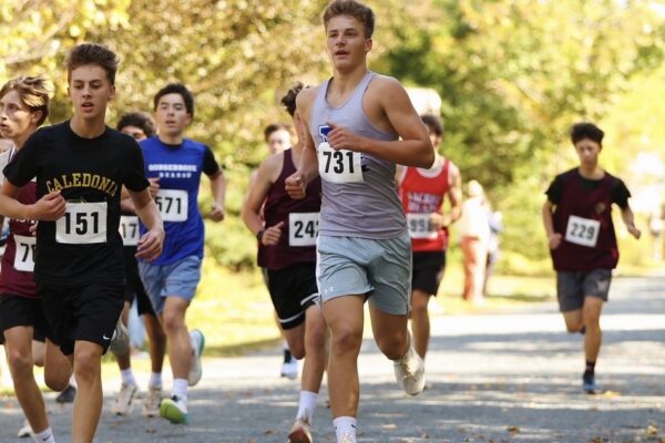 Lockview High runners qualify for provincials after strong regional showing